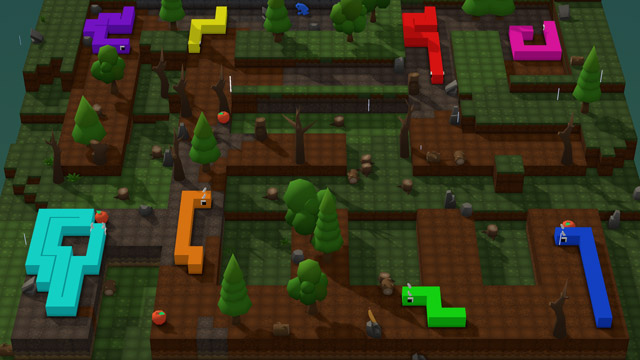 Forest